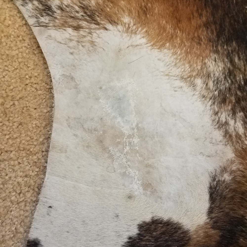 Chesterfield Cowhide Rugs 6x8 - Picture 6 of 8